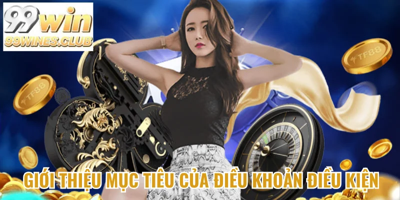 Giới thiệu mục tiêu của điều khoản điều kiện